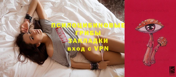 гашик Алексеевка
