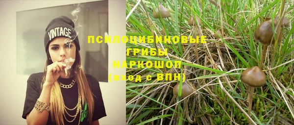 гашик Алексеевка