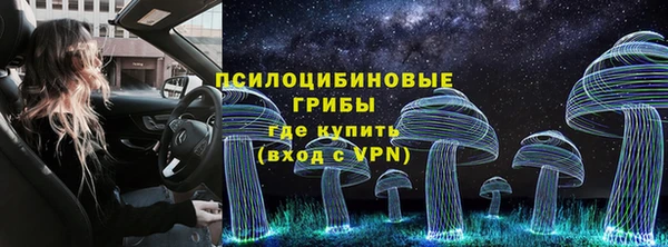 герыч Алексин