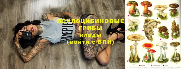 мяу мяу мука Рославль