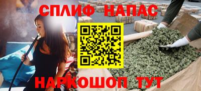 ешки Гагарин