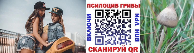 Галлюциногенные грибы Cubensis ссылка на мегу маркетплейс Саров