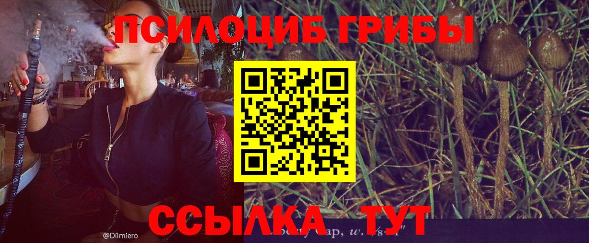 Галлюциногенные грибы GOLDEN TEACHER  Вход с VPN  Галлюциногенные грибы MAGIC MUSHROOMS  Саров 